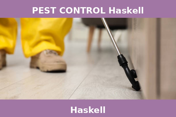 PEST CONTROL Haskell